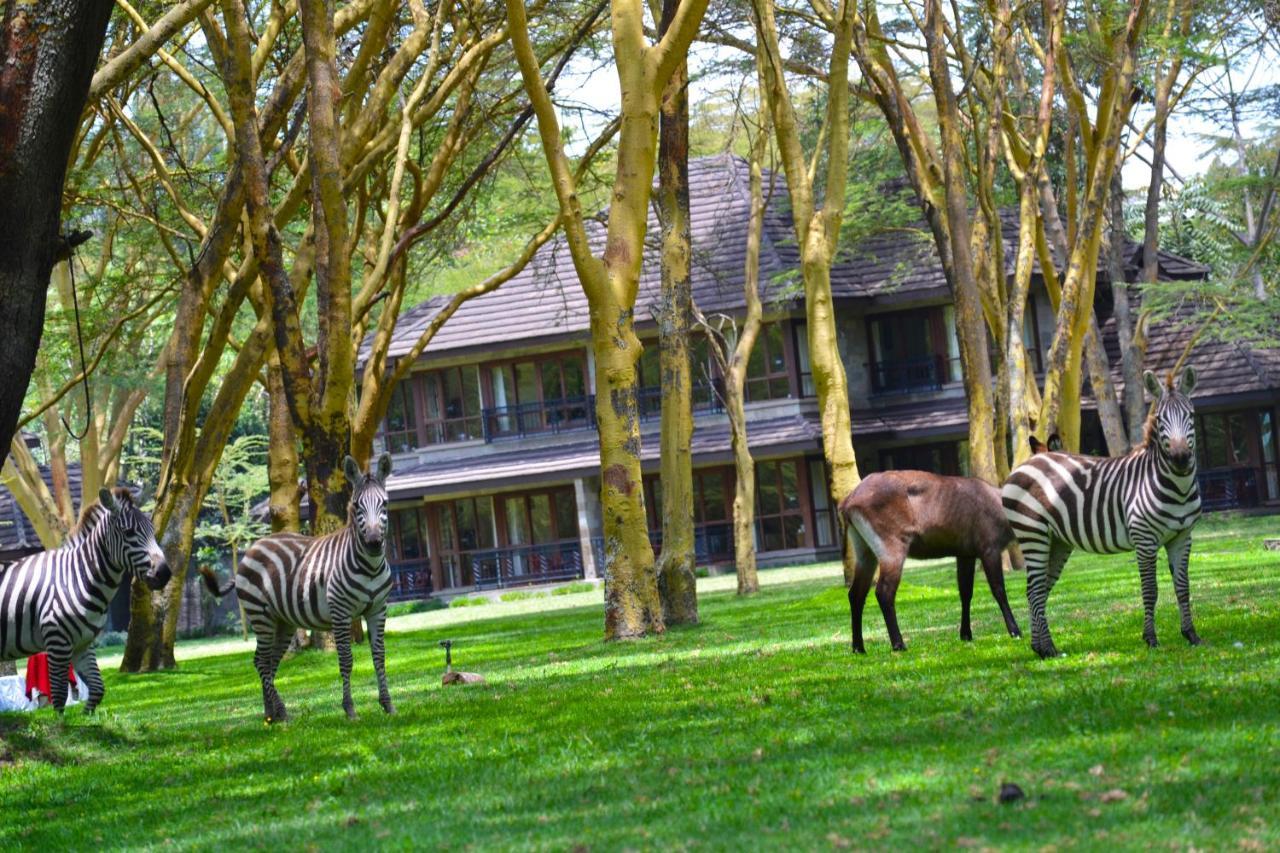 Lake Naivasha Simba Lodge Nairobi Exterior foto